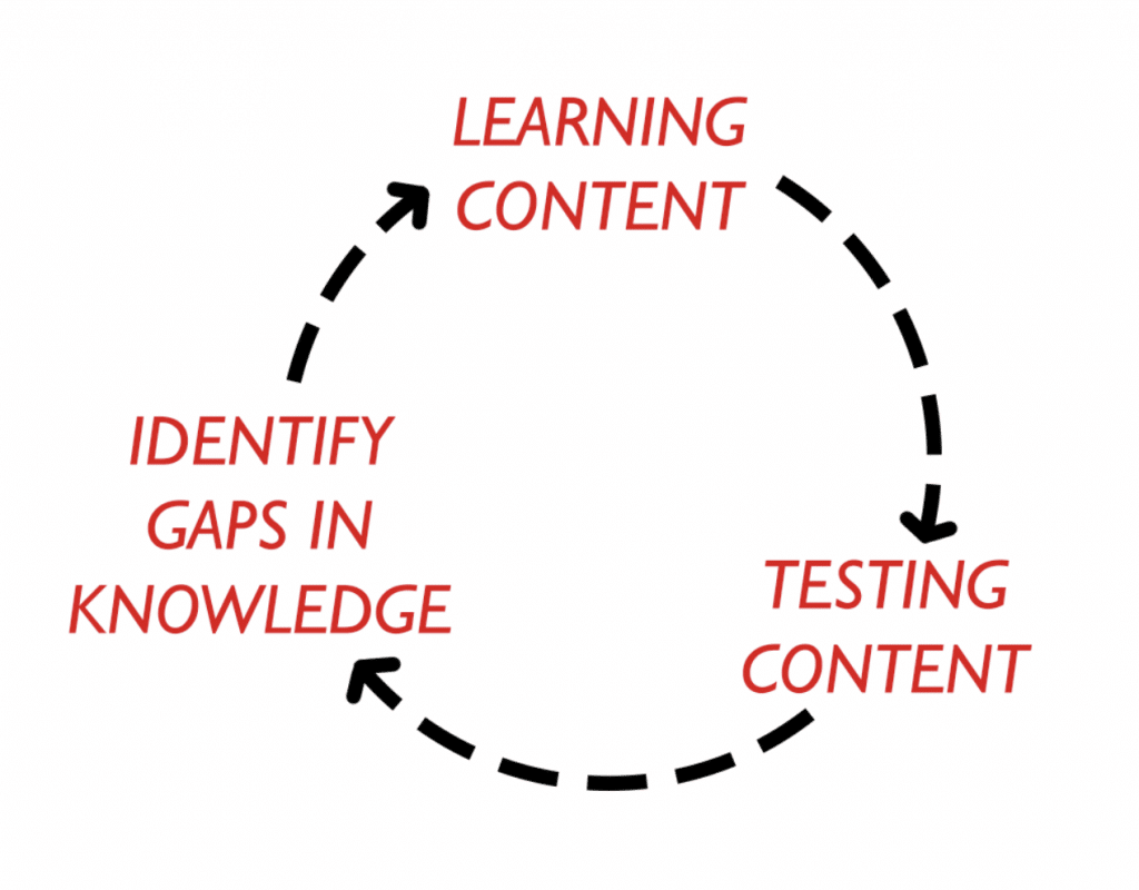 A revision cycle consisting of learning content, testing content, and identifying gaps in knowledge.